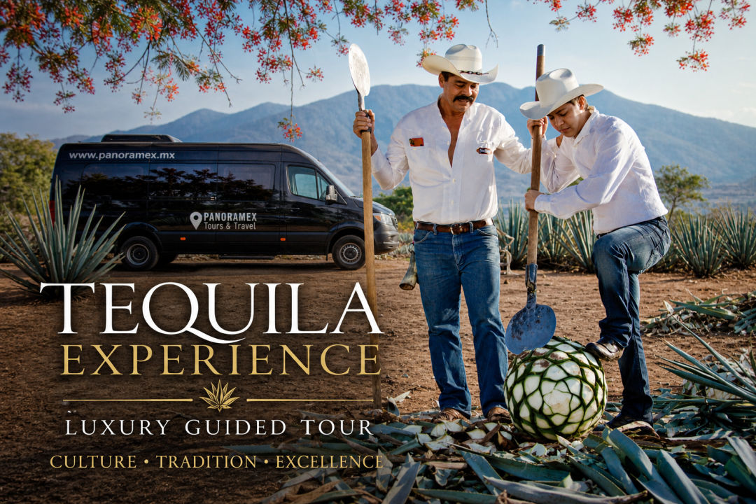 Tequila Luxury Experience in Jalisco